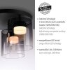 JUST LIGHT ELIO Deckenleuchte LED Schwarz, 3-flammig