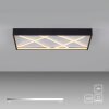 JUST LIGHT MIKADO Deckenleuchte LED Schwarz, 1-flammig