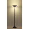Globo Emanuel Deckenleuchte LED Anthrazit, Schwarz, 1-flammig