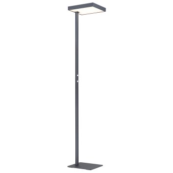 Globo Barker Stehleuchte LED Anthrazit, 1-flammig