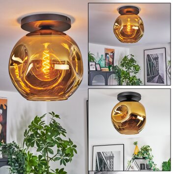 Ripoll Deckenleuchte Glas 30 cm Gold, 1-flammig