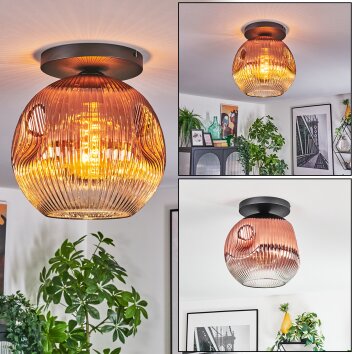 Ripoll Deckenleuchte Glas 30 cm Klar, Kupferfarben, 1-flammig