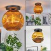 Ripoll Deckenleuchte Glas 30 cm Gold, 1-flammig