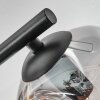 Ripoll Deckenleuchte Glas 15 cm Bernsteinfarben, Klar, Rauchfarben, 3-flammig