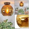 Koyoto Deckenleuchte Glas 25 cm Gold, 1-flammig