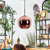 Koyoto Hängeleuchte Glas 30 cm Kupferfarben, 1-flammig