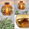 Koyoto Deckenleuchte Glas 30 cm Gold, 1-flammig
