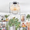 Koyoto Deckenleuchte Glas 30 cm Bernsteinfarben, Klar, 1-flammig