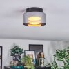 Folar Deckenleuchte LED Schwarz, 1-flammig