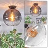 Koyoto Deckenleuchte Glas 30 cm Klar, Rauchfarben, 1-flammig