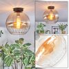 Koyoto Deckenleuchte Glas 30 cm Bernsteinfarben, Klar, 1-flammig