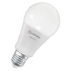 LED E27 14 Watt 2700/6500 Kelvin 1521 Lumen