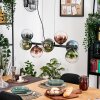 Gastor Pendelleuchte Glas 15 cm Blau, Grün, Klar, Kupferfarben, 8-flammig