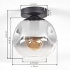 Ripoll Deckenleuchte Glas 20 cm Klar, Rauchfarben, 1-flammig