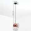 Ripoll Hängeleuchte Glas 20 cm Klar, Kupferfarben, 1-flammig