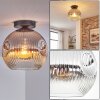 Ripoll Deckenleuchte Glas 25 cm Chrom, Klar, Rauchfarben, 1-flammig