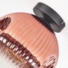 Ripoll Deckenleuchte Glas 25 cm Klar, Kupferfarben, 1-flammig