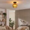 Ripoll Deckenleuchte Glas 20 cm Gold, 1-flammig