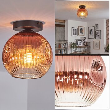Ripoll Deckenleuchte Glas 20 cm Klar, Kupferfarben, 1-flammig
