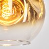 Ripoll Hängeleuchte Glas 25 cm Gold, Klar, 1-flammig