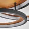 Baiyin Deckenleuchte LED Gold, Schwarz, 1-flammig