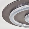 Lidor Deckenleuchte LED Anthrazit, Grau, Schwarz, 1-flammig, Fernbedienung