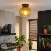 Koyoto Deckenleuchte Glas 20 cm Gold, Klar, 1-flammig