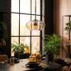 Mertola Hängeleuchte Glas 20 cm Bernsteinfarben, Klar, 1-flammig