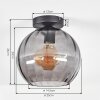 Koyoto Deckenleuchte Glas 25 cm Rauchfarben, 1-flammig