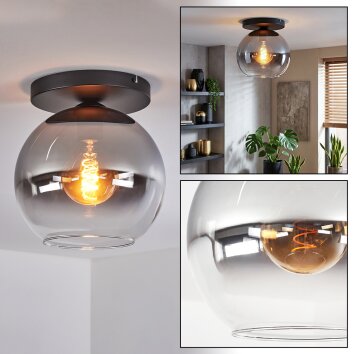 Koyoto Deckenleuchte Glas 25 cm Klar, Rauchfarben, 1-flammig
