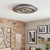 Lidor Deckenleuchte LED Gold, Schwarz, 1-flammig, Fernbedienung