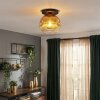 Ripoll Deckenleuchte Glas 25 cm Gold, Klar, 1-flammig