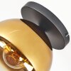 Koyoto Deckenleuchte Glas 25 cm Gold, Klar, 1-flammig