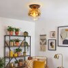 Ripoll Deckenleuchte Glas 25 cm Gold, Klar, 1-flammig