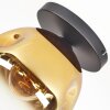 Ripoll Deckenleuchte Glas 25 cm Gold, Klar, 1-flammig