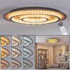 Lidor Deckenleuchte LED Gold, Kupferfarben, Schwarz, 1-flammig, Fernbedienung