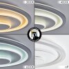 Rarel Deckenleuchte LED Chrom, Grau, Silber, Weiß, 1-flammig