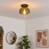 Koyoto Deckenleuchte Glas 30 cm Grün, Klar, 1-flammig
