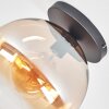Koyoto Deckenleuchte Glas 30 cm Bernsteinfarben, Klar, 1-flammig