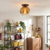 Koyoto Deckenleuchte Glas 30 cm Gold, Klar, 1-flammig