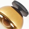 Koyoto Deckenleuchte Glas 30 cm Gold, Klar, 1-flammig