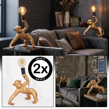 Kemor Tischleuchte 2-er Set Gold, Schwarz, 1-flammig