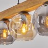 Ripoll Hängeleuchte Glas 15 cm Naturfarben, Schwarz, 5-flammig