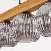 Ripoll Hängeleuchte Glas 15 cm Naturfarben, Schwarz, 5-flammig