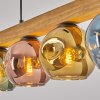 Ripoll Hängeleuchte Glas 15 cm Naturfarben, Schwarz, 4-flammig