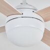 Lenok Deckenventilator mit Beleuchtung LED Weiß, 1-flammig, Fernbedienung