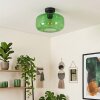 Retro-Deckenleuchte Boza mit bauchigem grünem Glasschirm, ø 28 cm, E27