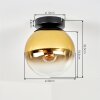 Kugel-Deckenleuchte Gastor mit gold-klarem Glasschirm ø 20 cm, E27