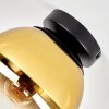 Kugel-Deckenleuchte Gastor mit gold-klarem Glasschirm ø 20 cm, E27