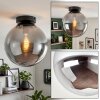 Moderne Kugelleuchte Gastor mit rauchfarbenem Glasschirm, ø 25 cm, E27-Fassung